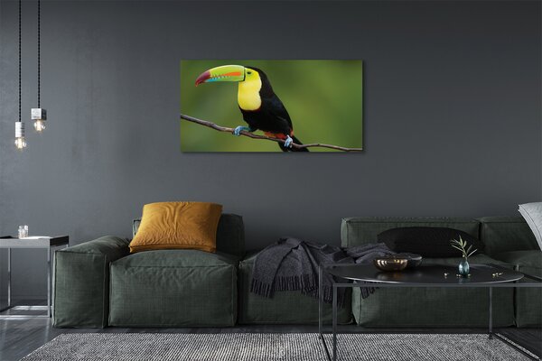 Tablouri canvas papagal colorat de pe o ramură