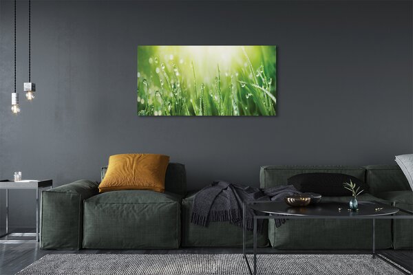 Tablouri canvas picături de soare iarbă