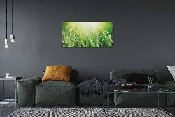 Tablouri canvas picături de soare iarbă