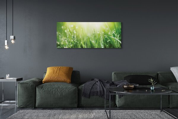 Tablouri canvas picături de soare iarbă