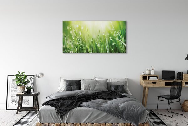 Tablouri canvas picături de soare iarbă