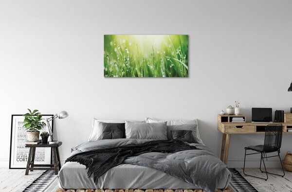 Tablouri canvas picături de soare iarbă