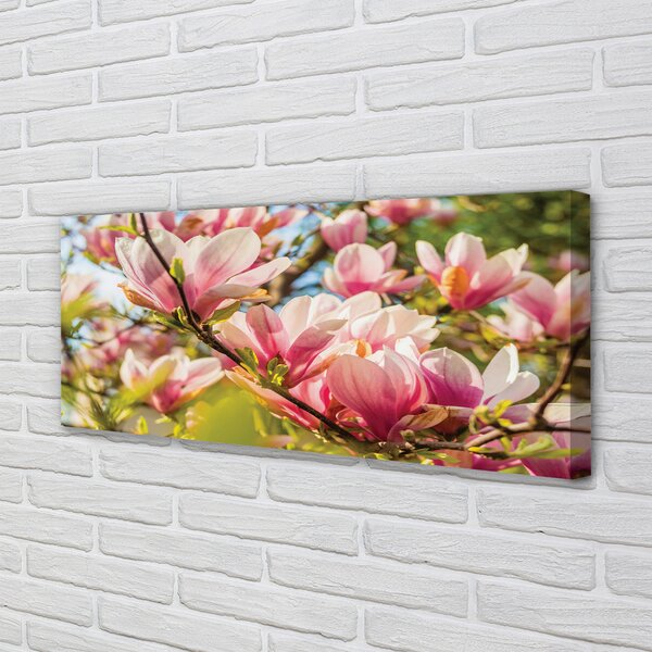 Tablouri canvas magnolie roz