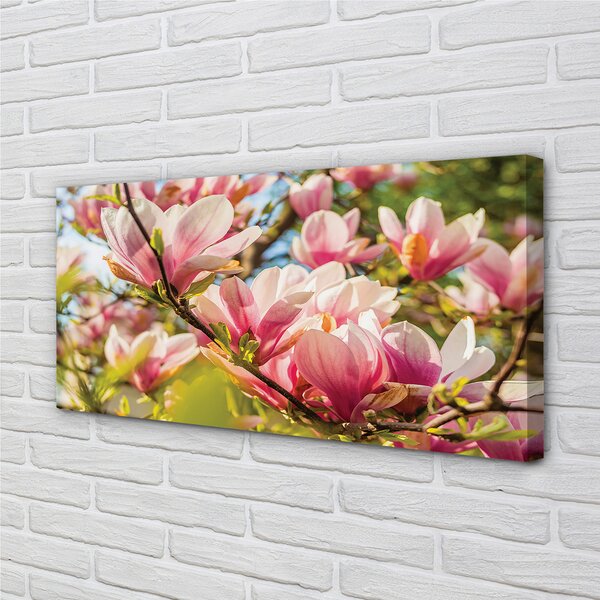 Tablouri canvas magnolie roz