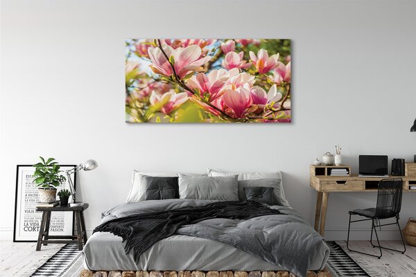 Tablouri canvas magnolie roz