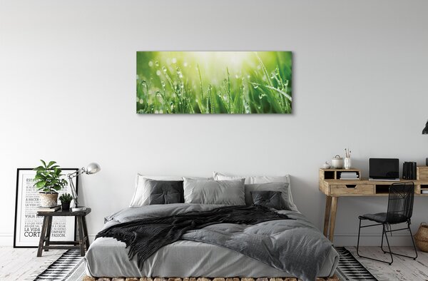 Tablouri canvas picături de soare iarbă