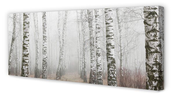 Tablouri canvas ceață mesteacăn
