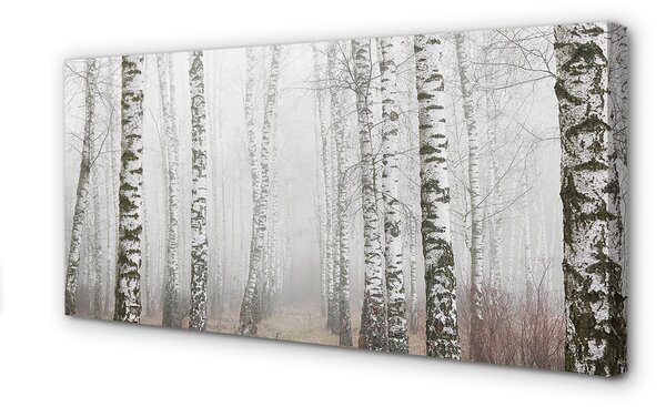 Tablouri canvas ceață mesteacăn