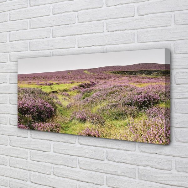 Tablouri canvas Heathers câmp
