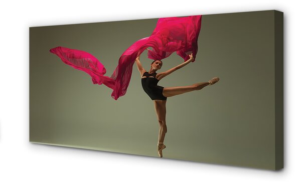 Tablouri canvas Material roz Ballerina