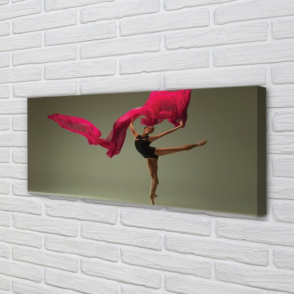 Tablouri canvas Material roz Ballerina