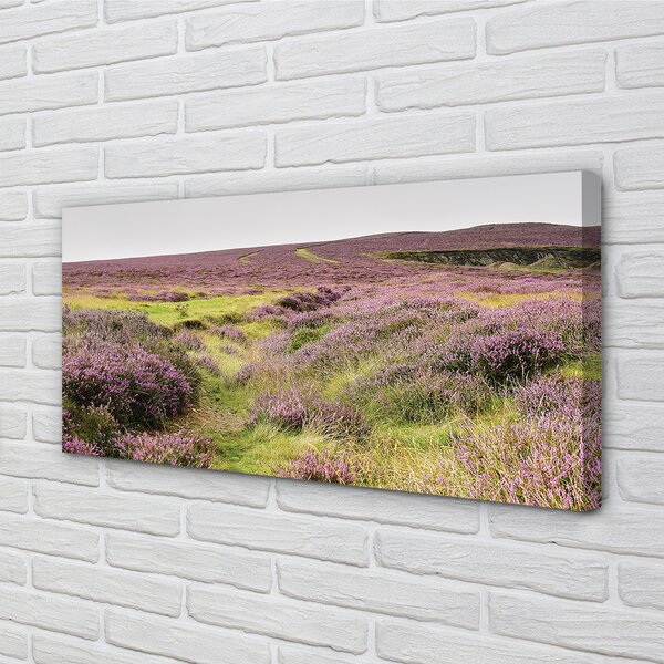 Tablouri canvas Heathers câmp