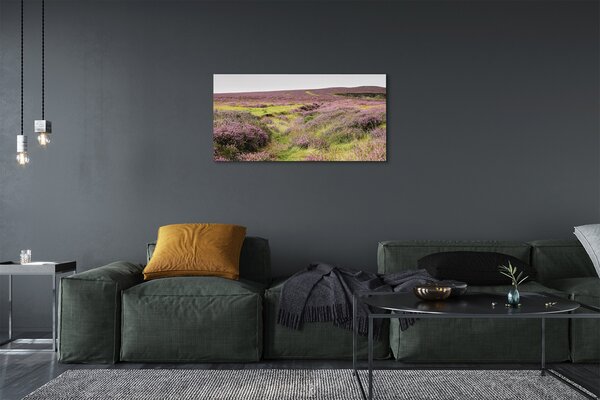 Tablouri canvas Heathers câmp