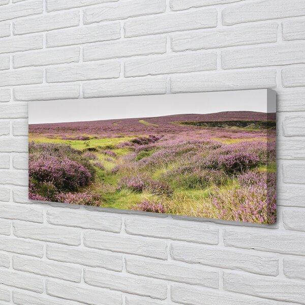 Tablouri canvas Heathers câmp