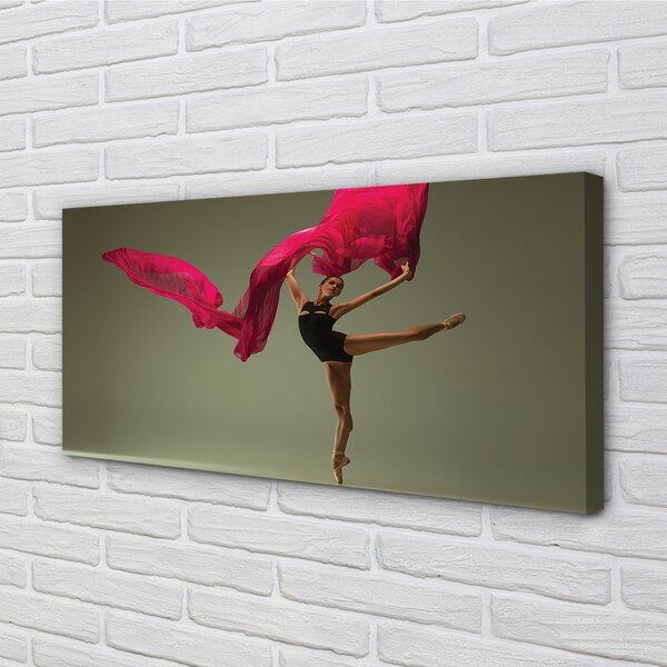 Tablouri canvas Material roz Ballerina