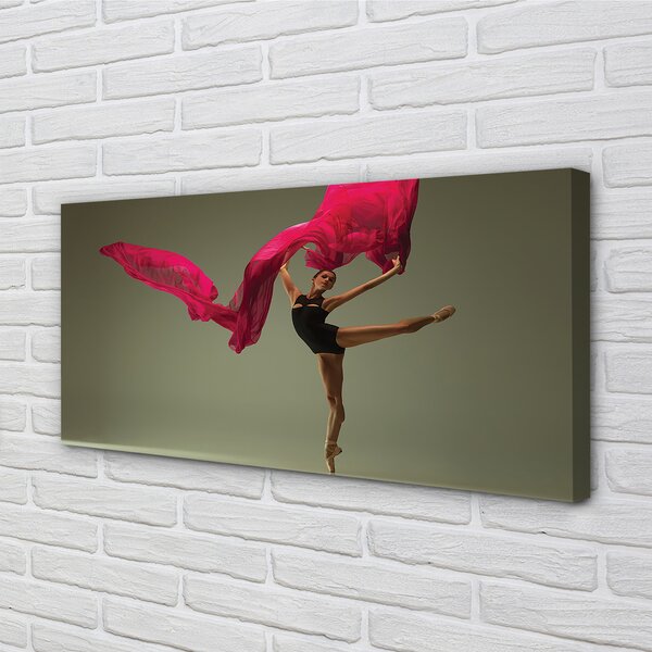 Tablouri canvas Material roz Ballerina