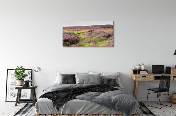 Tablouri canvas Heathers câmp