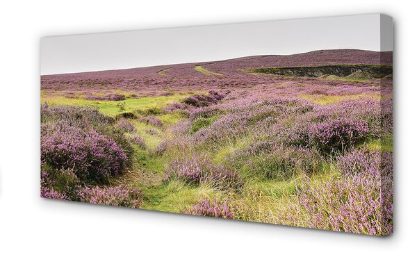 Tablouri canvas Heathers câmp