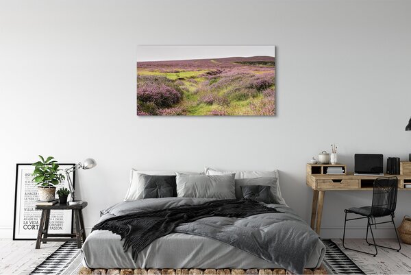 Tablouri canvas Heathers câmp