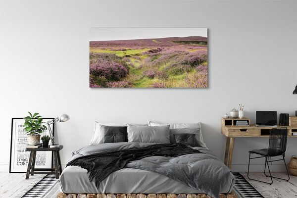 Tablouri canvas Heathers câmp