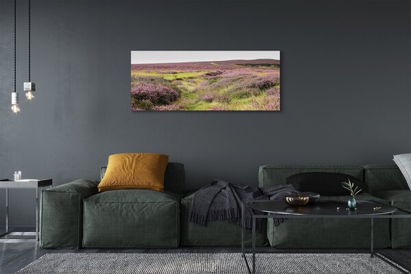 Tablouri canvas Heathers câmp
