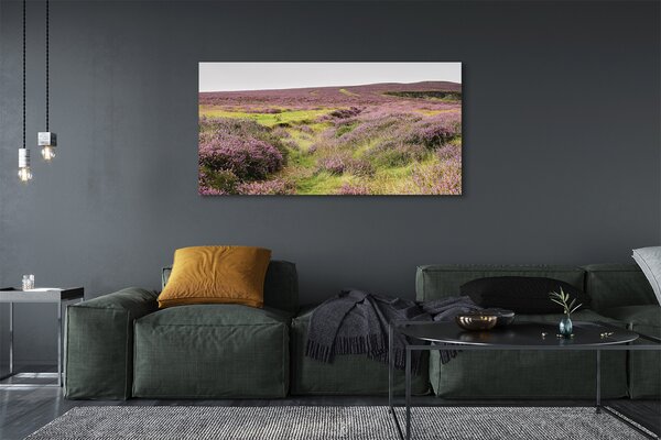 Tablouri canvas Heathers câmp