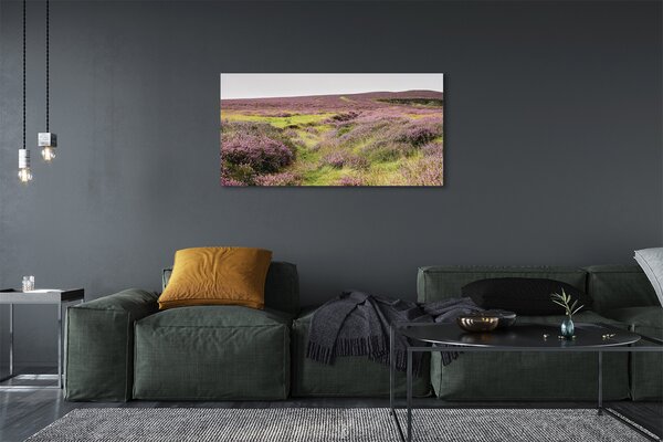 Tablouri canvas Heathers câmp