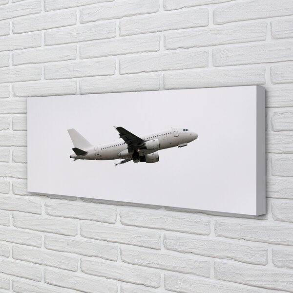 Tablouri canvas Sky City West