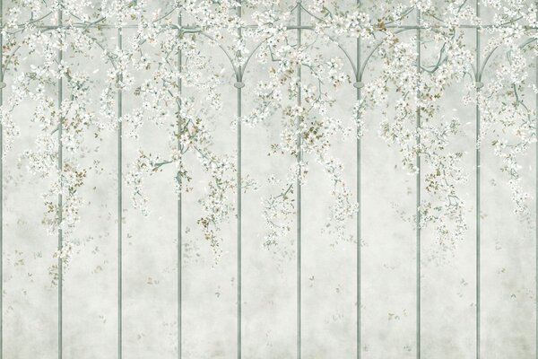 Tapet Ramuri cu flori albe pe un spalier decorativ verde, Imagini de fundal unice, w05923v2 : Uwalls.ro