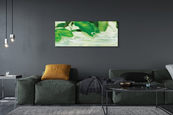 Tablouri canvas Picături frunze de apa