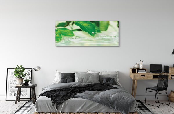 Tablouri canvas Picături frunze de apa
