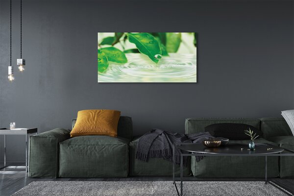 Tablouri canvas Picături frunze de apa