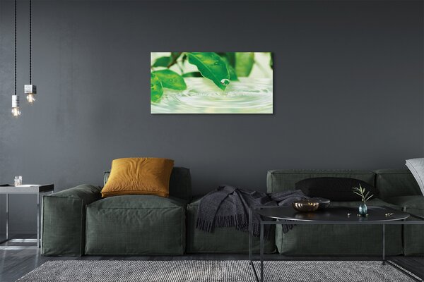 Tablouri canvas Picături frunze de apa
