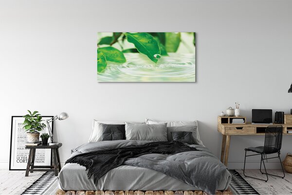 Tablouri canvas Picături frunze de apa