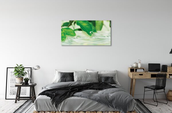 Tablouri canvas Picături frunze de apa