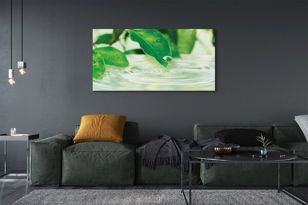 Tablouri canvas Picături frunze de apa