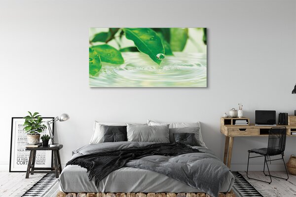 Tablouri canvas Picături frunze de apa