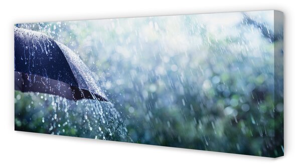 Tablouri canvas picături de ploaie Umbrella