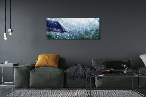 Tablouri canvas picături de ploaie Umbrella