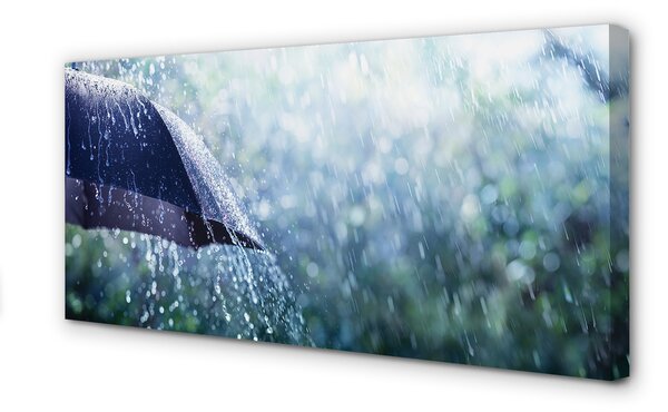 Tablouri canvas picături de ploaie Umbrella