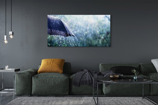 Tablouri canvas picături de ploaie Umbrella