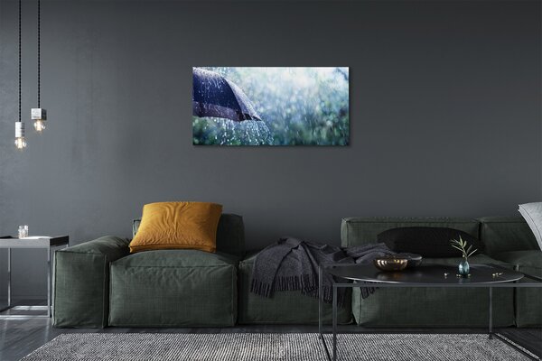 Tablouri canvas picături de ploaie Umbrella