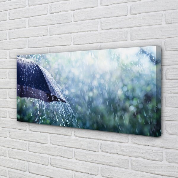 Tablouri canvas picături de ploaie Umbrella