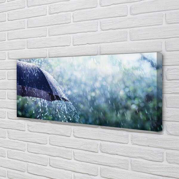 Tablouri canvas picături de ploaie Umbrella