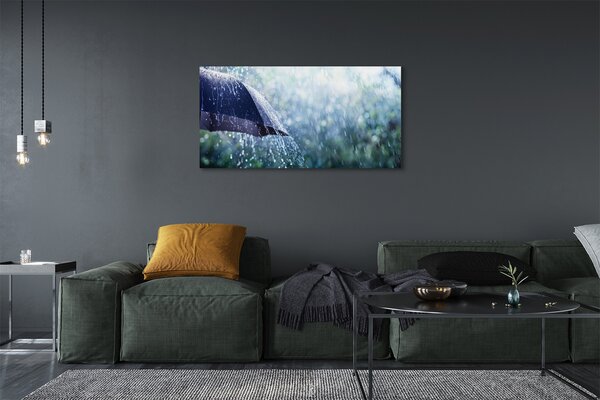 Tablouri canvas picături de ploaie Umbrella