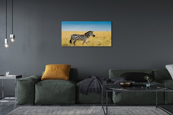 Tablouri canvas caseta Zebra