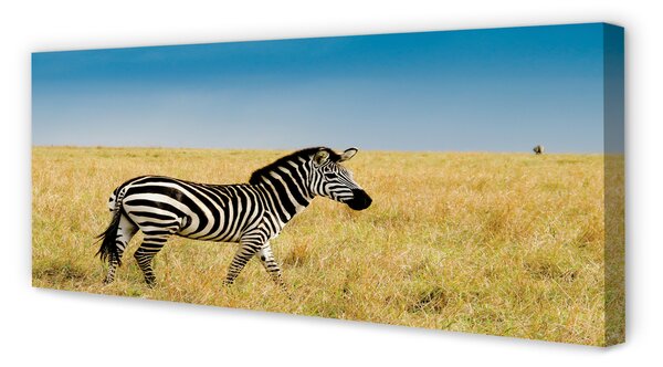 Tablouri canvas caseta Zebra