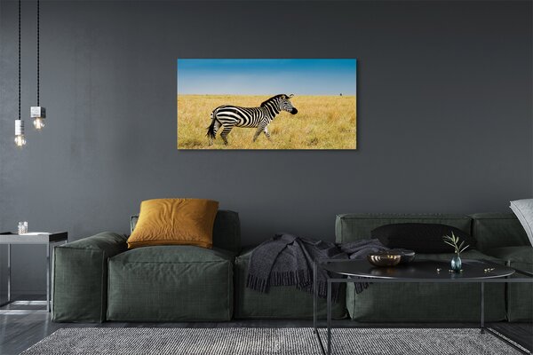 Tablouri canvas caseta Zebra