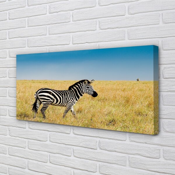 Tablouri canvas caseta Zebra
