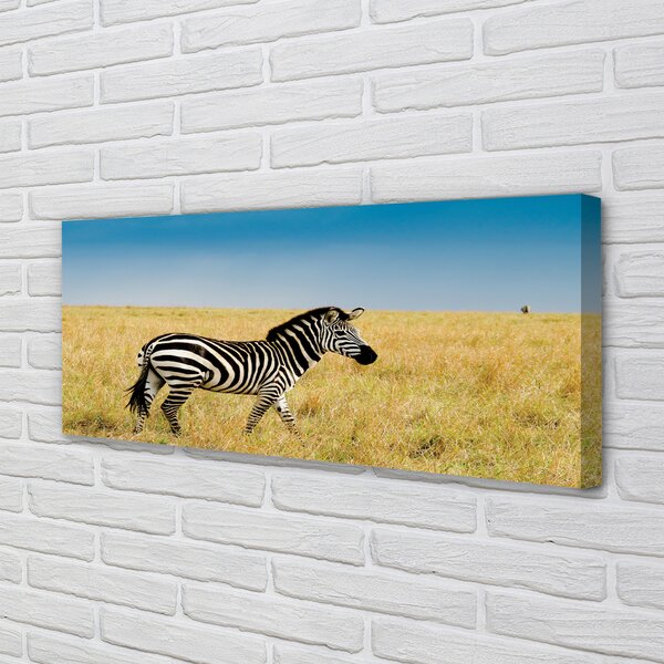 Tablouri canvas caseta Zebra